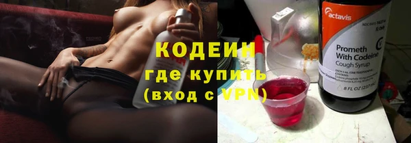 гидра Верхний Тагил