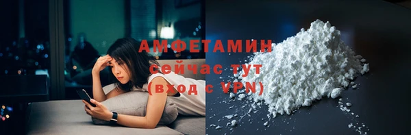 гидра Верхний Тагил