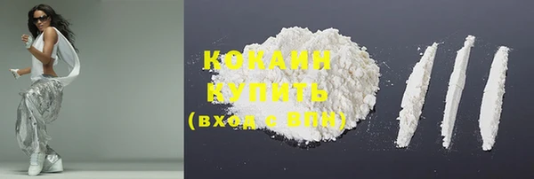 гидра Верхний Тагил