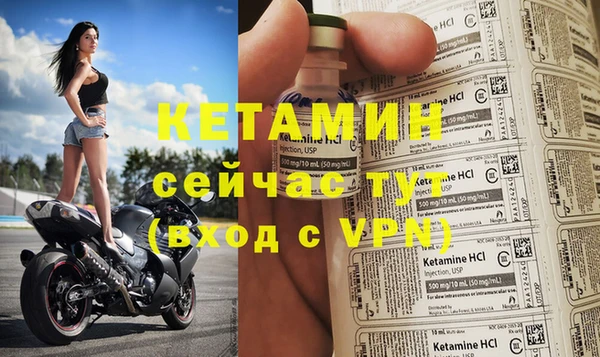 гидра Верхний Тагил